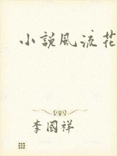 小说风流花少