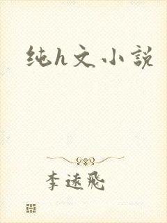 纯h文小说