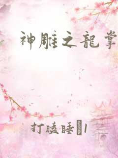 神雕之龙掌门
