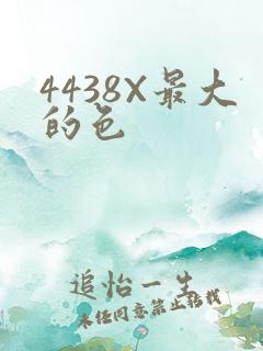 4438X最大的色