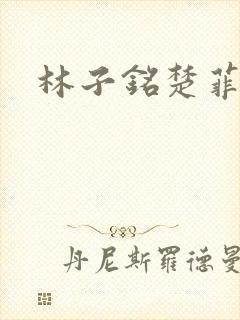 林子铭楚菲小说