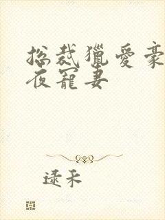 总裁猎爱豪门一夜宠妻