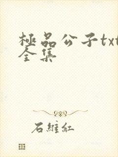 极品公子txt全集
