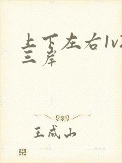 上下左右1v2三岸