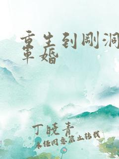 重生到刚洞房的军婚