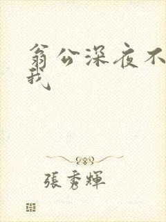 翁公深夜不停要我