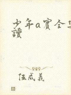 少年a宾全集阅读
