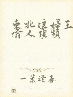 东北浪妇王梅娟偷人视频