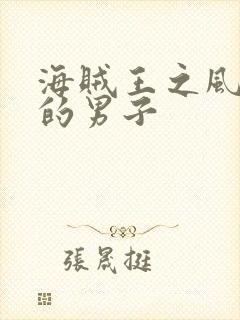 海贼王之风一样的男子