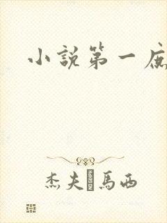 小说第一庶女