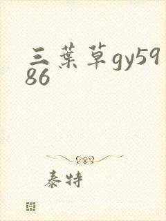 三叶草gy5986