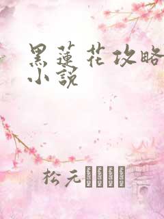 黑莲花攻略手册小说