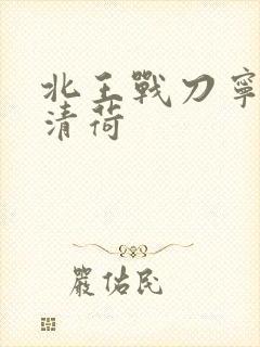 北王战刀宁北苏清荷