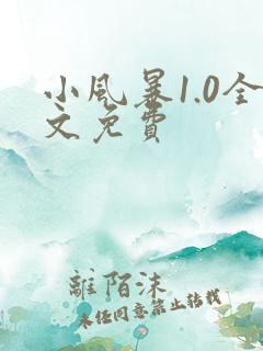 小风暴1.0全文免费