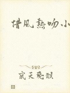 借风热吻小神明