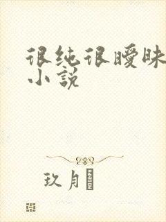 很纯很暧昧有声小说