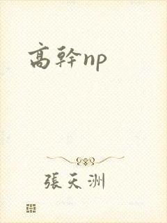 高干np
