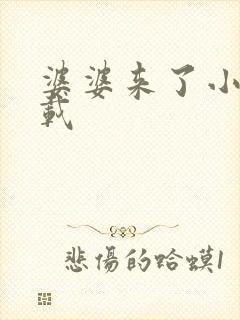 婆婆来了小说下载