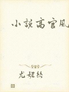 小说高官风流