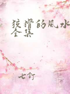 狡猾的风水相师全集