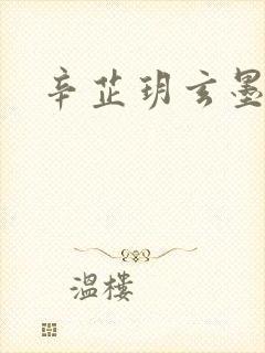 辛芷玥玄墨小说