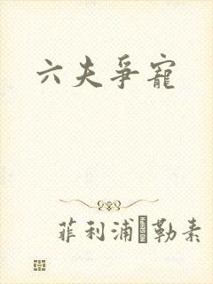 六夫争宠