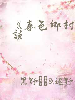 《春色乡村》小说