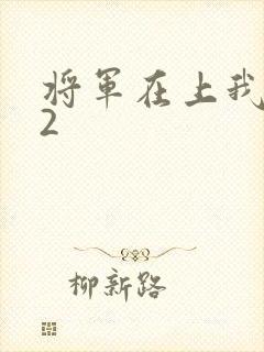 将军在上我在下2
