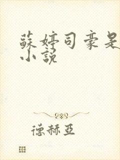 苏婷司豪是什么小说