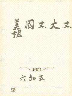 美国又大又长又租