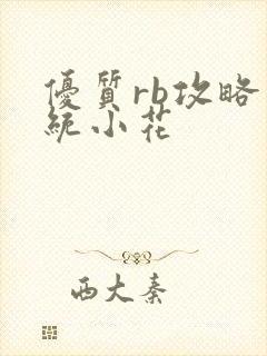 优质rb攻略系统小花