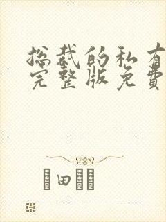 总裁的私有宝贝完整版免费阅读