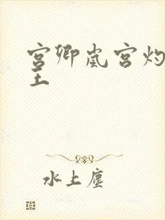 宫卿岚宫灼摄政王