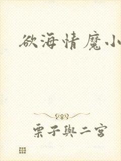 欲海情魔小说
