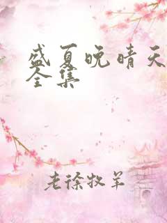 盛夏晚晴天小说全集