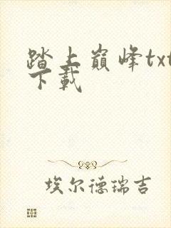 踏上巅峰txt下载