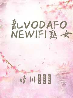 乱VODAFONEWIFI熟女