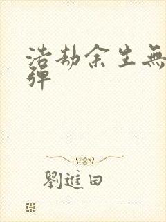 浩劫余生无限子弹