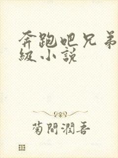 奔跑吧兄弟限制级小说