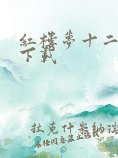 红楼梦十二金钗下载