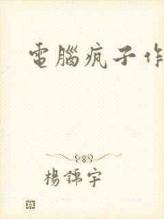 电脑疯子作品