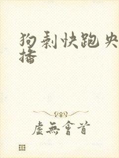 狗剩快跑央八首播