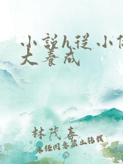 小说h从小做到大养成