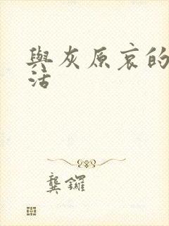 与灰原哀的h生活