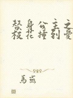 替身公主之杀手校花撞到爱