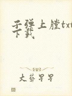 子弹上膛txt下载