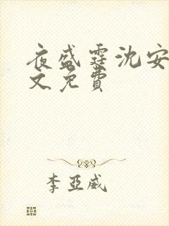 夜盛霆沈安然全文免费