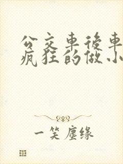 公交车后车座的疯狂的做小