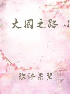 大国之路 小说