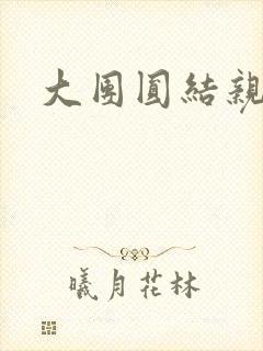 大团圆结亲情会